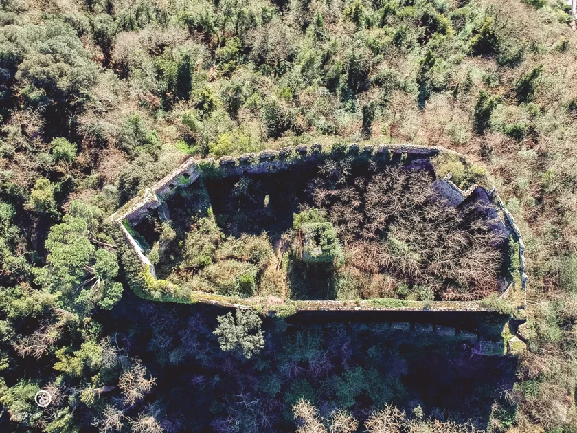 DCIM/101MEDIA/DJI_0003.JPG