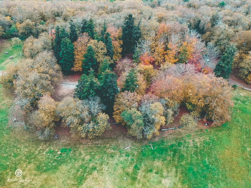 Monte Serra Pisa