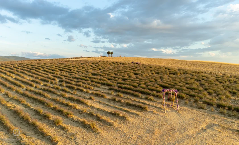 Campi di lavanda Santa Luce Pisa dal Drone