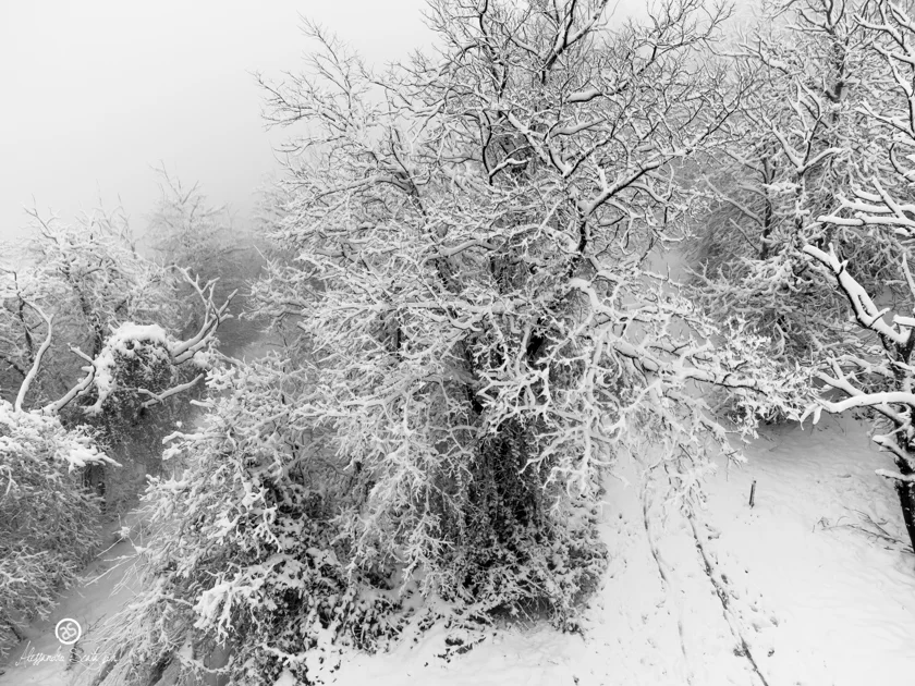 Neve sul Monte Serra (PISA) - 06/01/2020