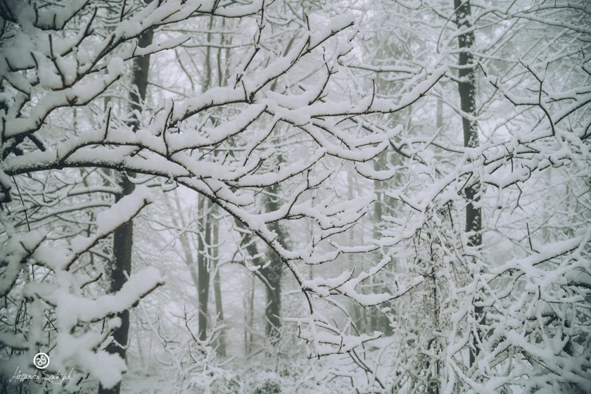 Neve sul Monte Serra (PISA) - 06/01/2020
