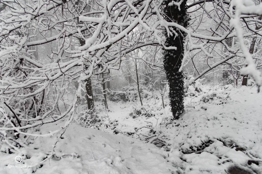 Neve sul Monte Serra (PISA) - 06/01/2020