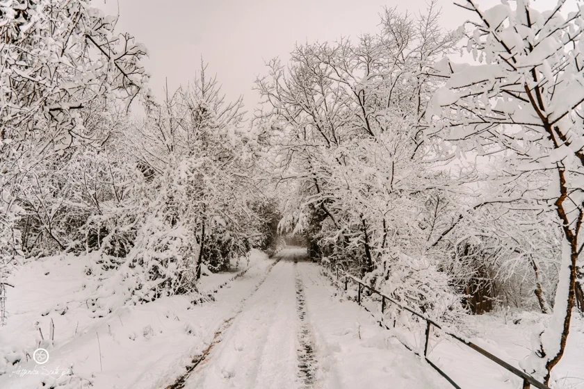 Neve sul Monte Serra (PISA) - 06/01/2020