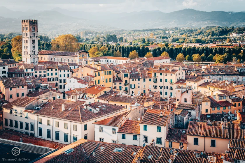 Lucca, Piazza Anfiteatro