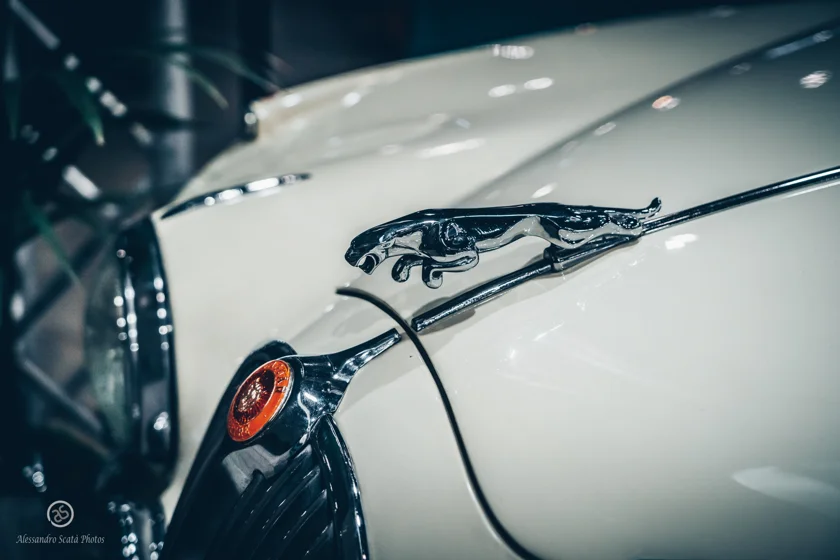 Jaguar