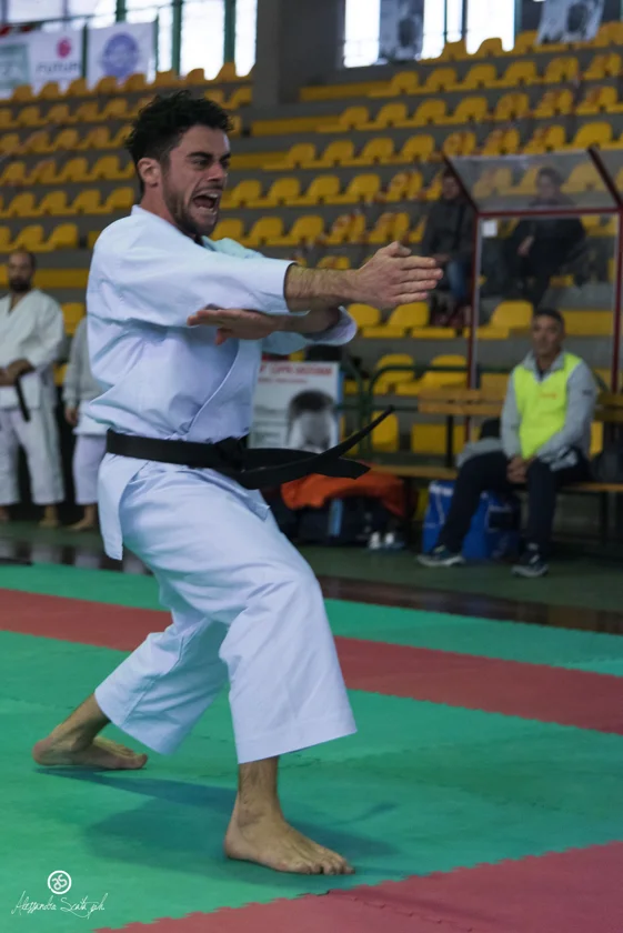 dsc_8708_38825727601_o