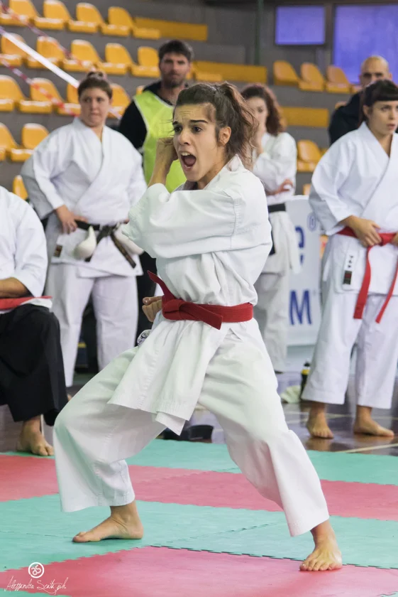 dsc_8747_24003491367_o
