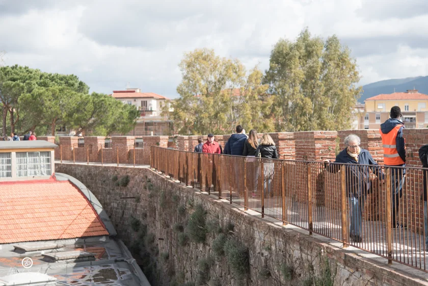 Pisa__6191_33282389420_o