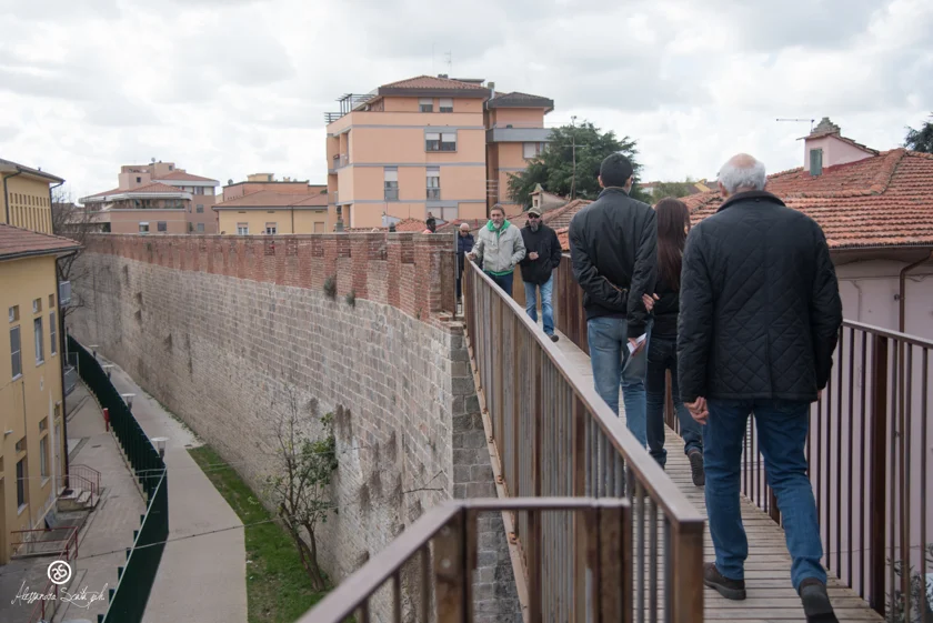 Pisa__6195_32853152943_o