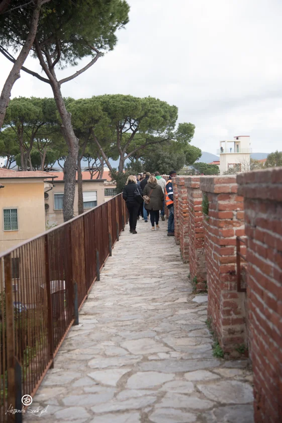 Pisa__6198_33666609365_o