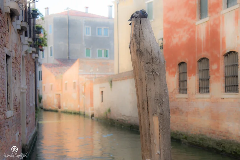 Venezia__7486_34617465253_o