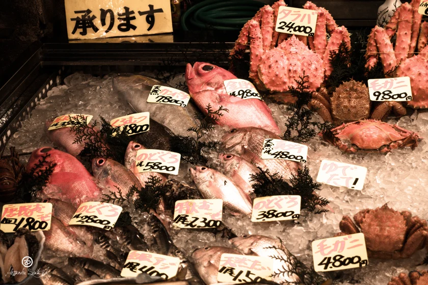 dsc02366_30405855167_o