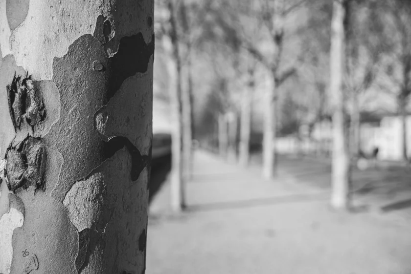 dsc_0352_24145770410_o