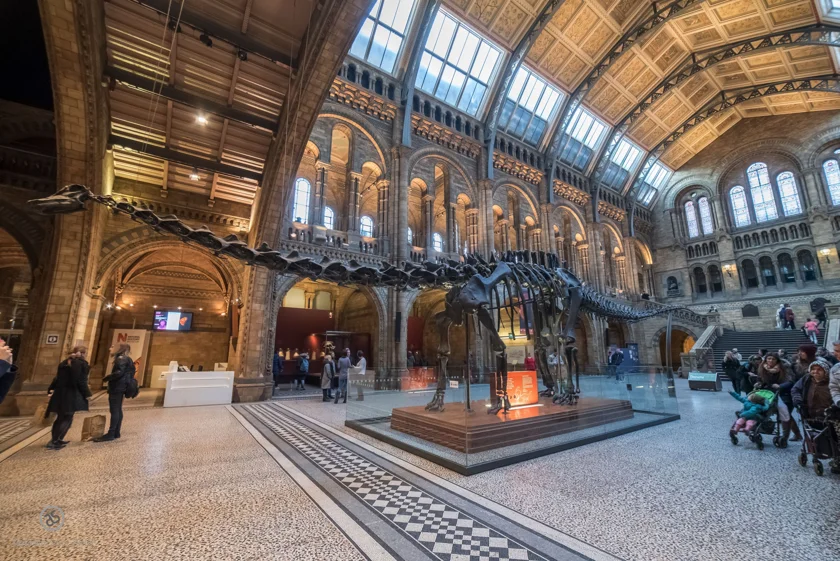 dsc_2639-hdr_25236496340_o