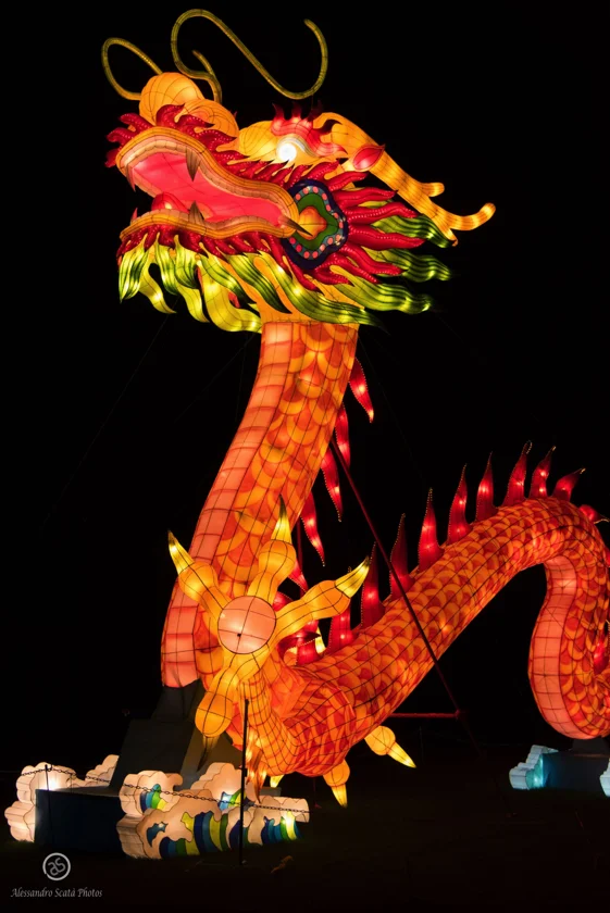 dsc_2801_25438936411_o