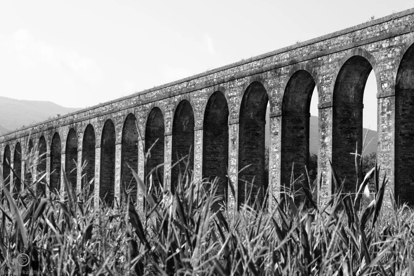 murabilia-2015---lucca_21168071676_o