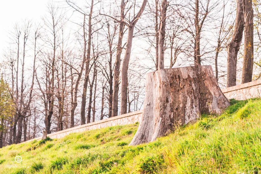 Pisa Natura Le piagge