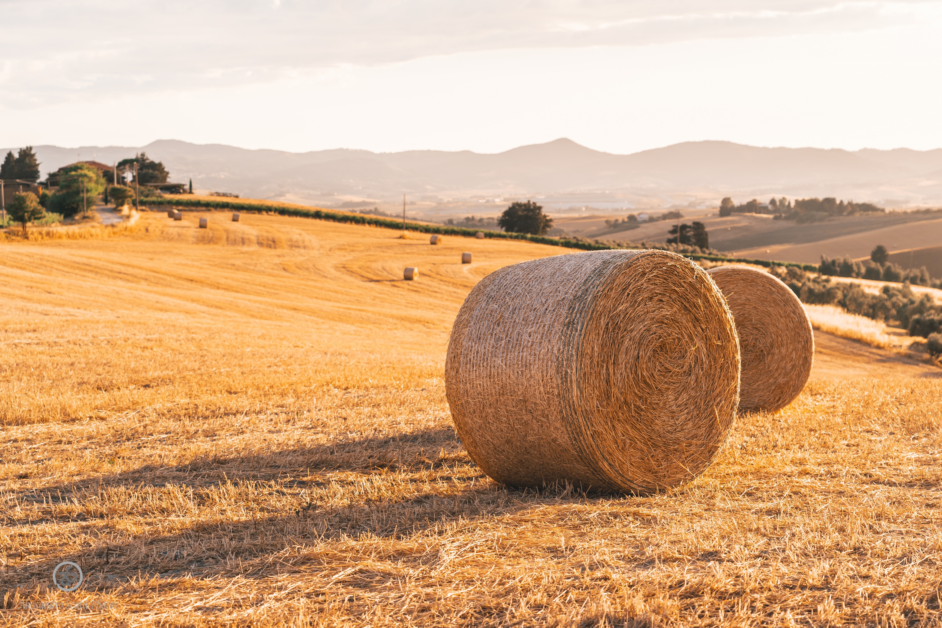 Paesaggio Toscano Pisa